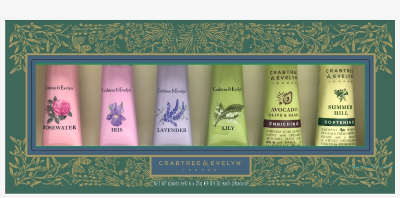 Dog, transparent png #4369909