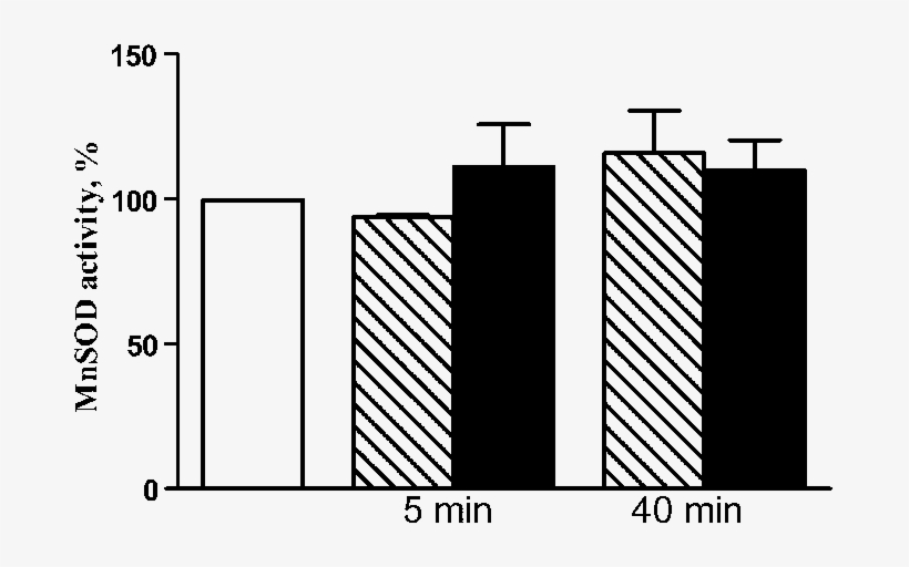 Effects Of - Zazzle Weihnachtszuckerstange Stripes Muster Porzellan, transparent png #4370403