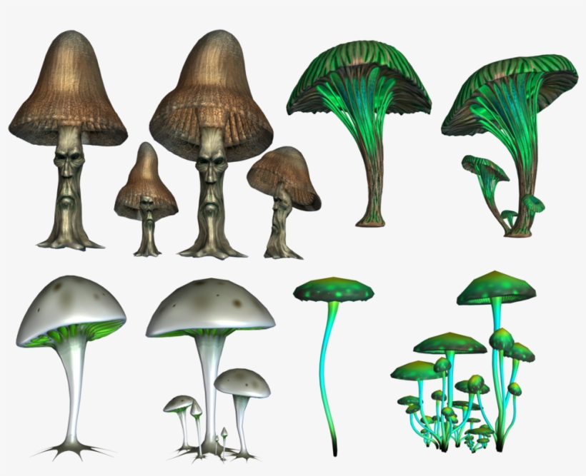 Mushroom Png Image - Psilocybin Mushrooms Png, transparent png #4370565