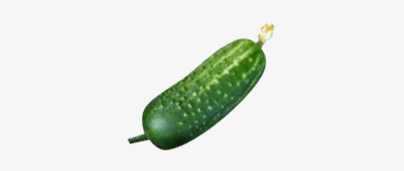 Cucumber - Cucumber With Transparent Background, transparent png #4371864