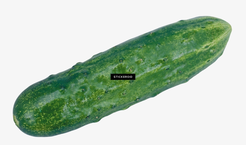 Cucumber - Cucumber Png, transparent png #4371912
