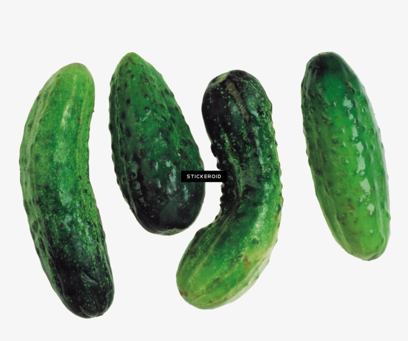 Cucumbers Cucumber - Cucumber, transparent png #4372076