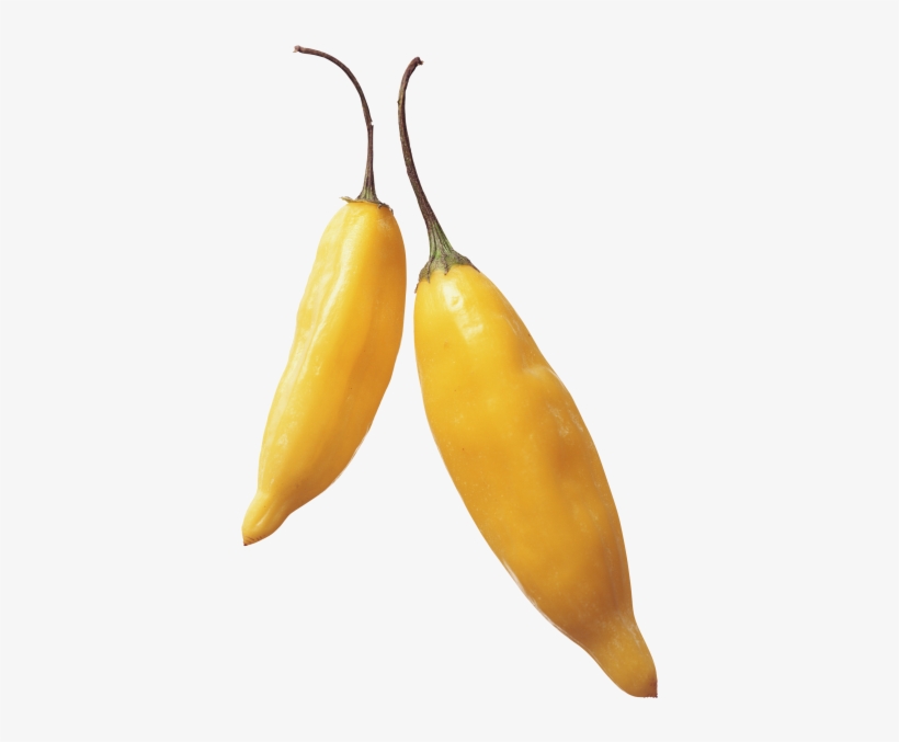 Yellow Hot Pepper - Portable Network Graphics, transparent png #4373268