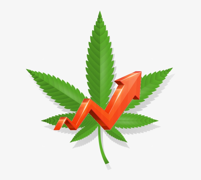 Cannabis, transparent png #4373938