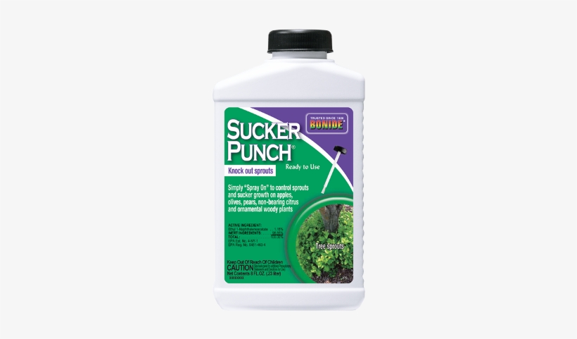 Bonide Sucker Punch Rtu, 8 Oz - Bonide Vine And Stump Killer With Applicator 8 Fl., transparent png #4374379