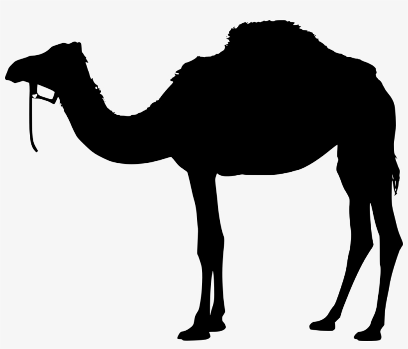Download Png - Camel Silhouette Vector Png, transparent png #4375371