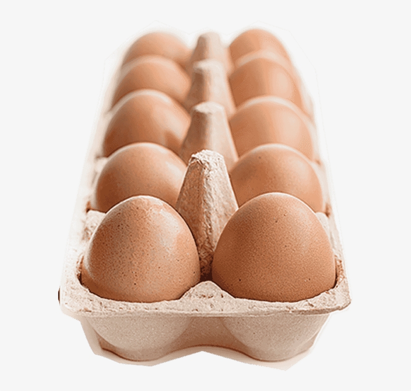 Egg Tray - Egg Carton, transparent png #4375739