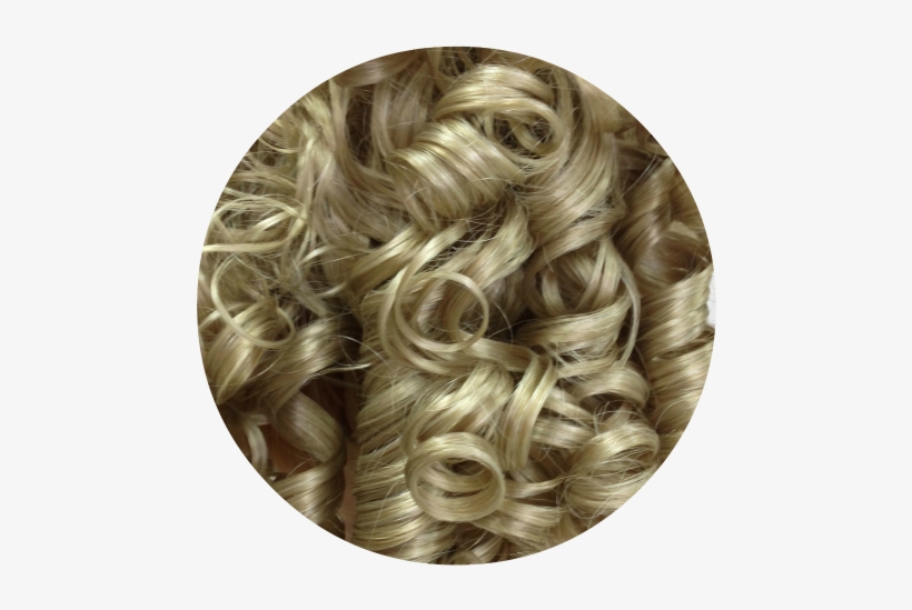Curly Ponytail 22st Honey Ash Blonde - Blond, transparent png #4375805