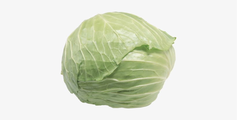 Cabbage Png Image, Download Png Image With Transparent - 包 菜, transparent png #4375885