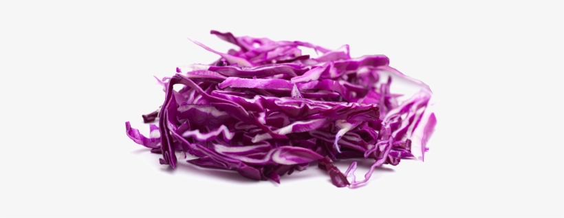 Shredded Cabbage Red, transparent png #4375887