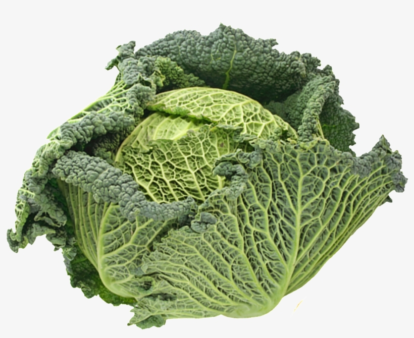 Cabbage Transparent Vegetables - Savoy Cabbage, transparent png #4375959