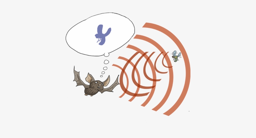 Info On Bats - Ultrasonic Hearing, transparent png #4376072