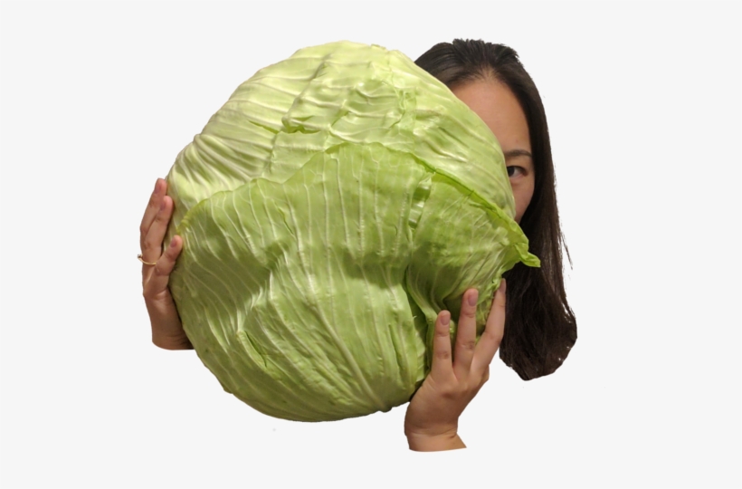 Arab Cabbage - Cabbage, transparent png #4376162