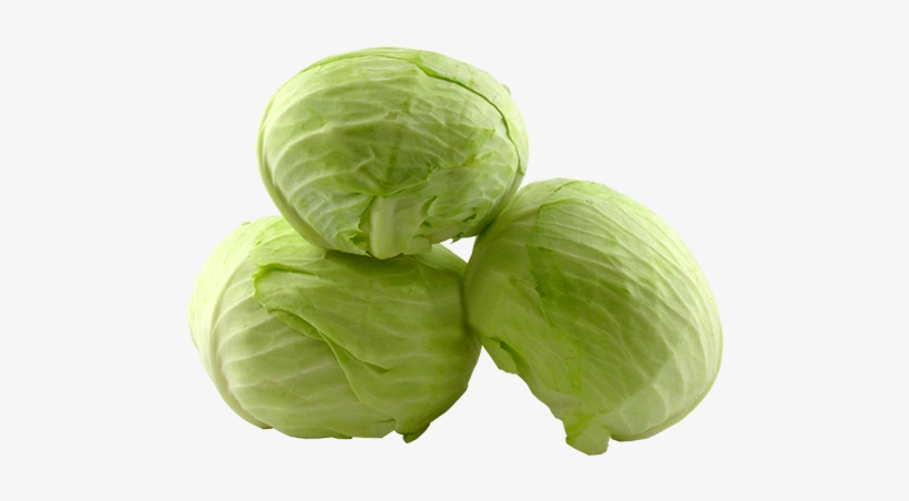 Iceburg Lettuce, transparent png #4376273