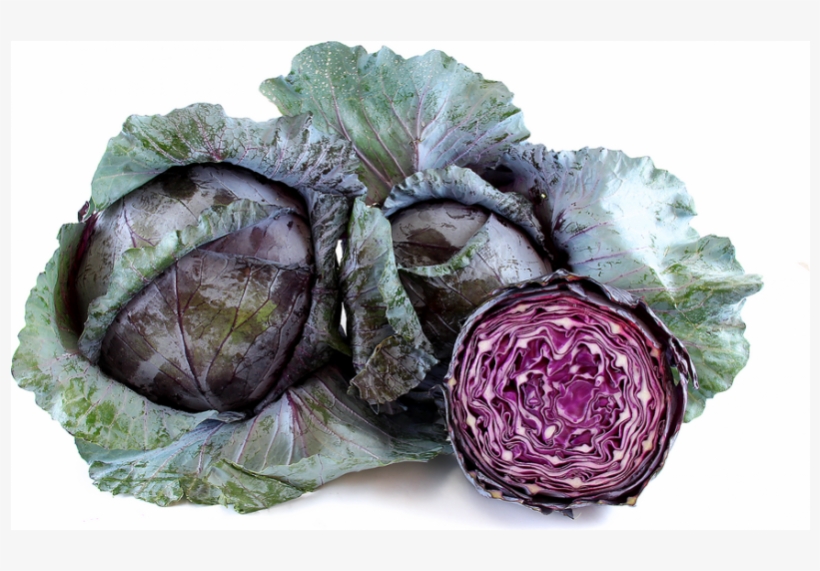 Biona Red Cabbage | Westminsterhealthstore.com, transparent png #4376307