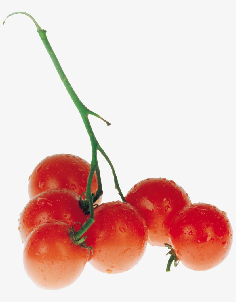 Помидоры Черри Пнг, transparent png #4376387