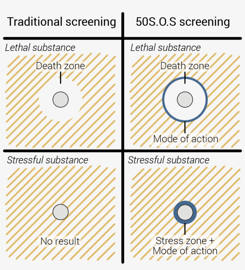 Secondly, We Have Created Cell Lines Producing Fluorescent - Circle, transparent png #4376862