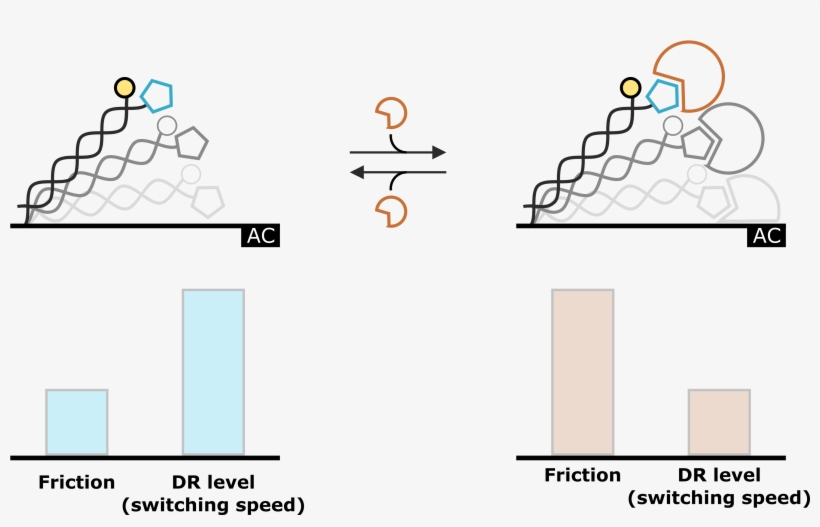 This Specific Hydrodynamic Drag Is Characterized By - Diagram, transparent png #4377213