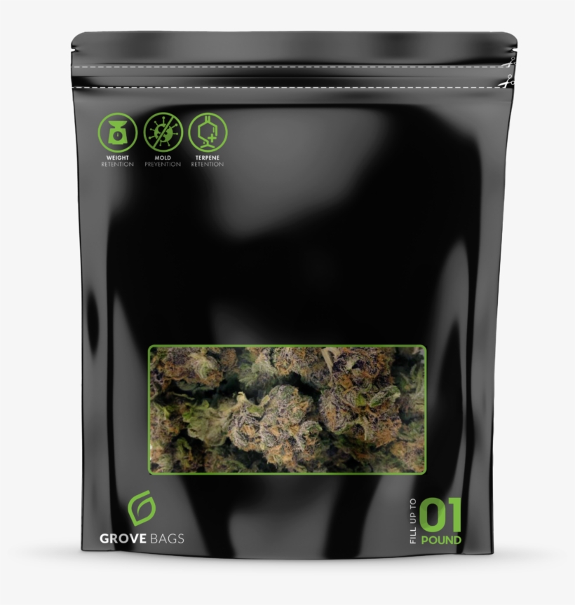 Technology, transparent png #4378434