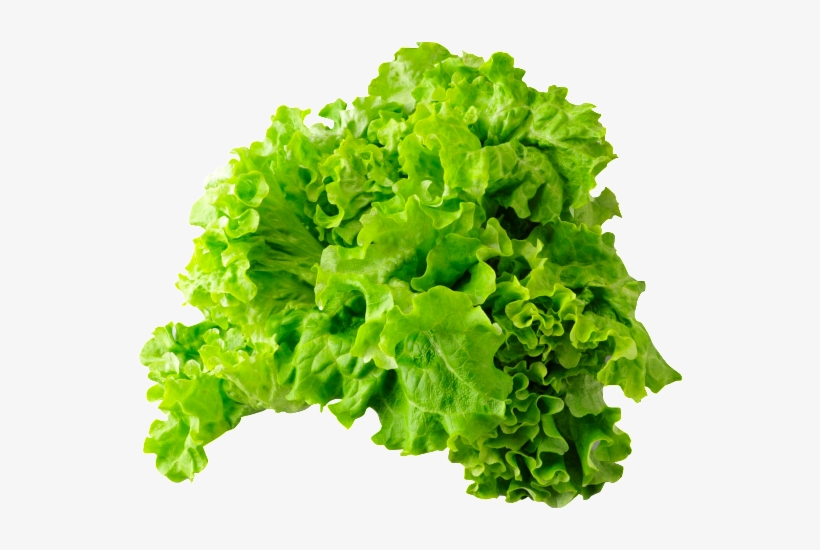 Lettuce Png - Calcite With Duftite, transparent png #4378475