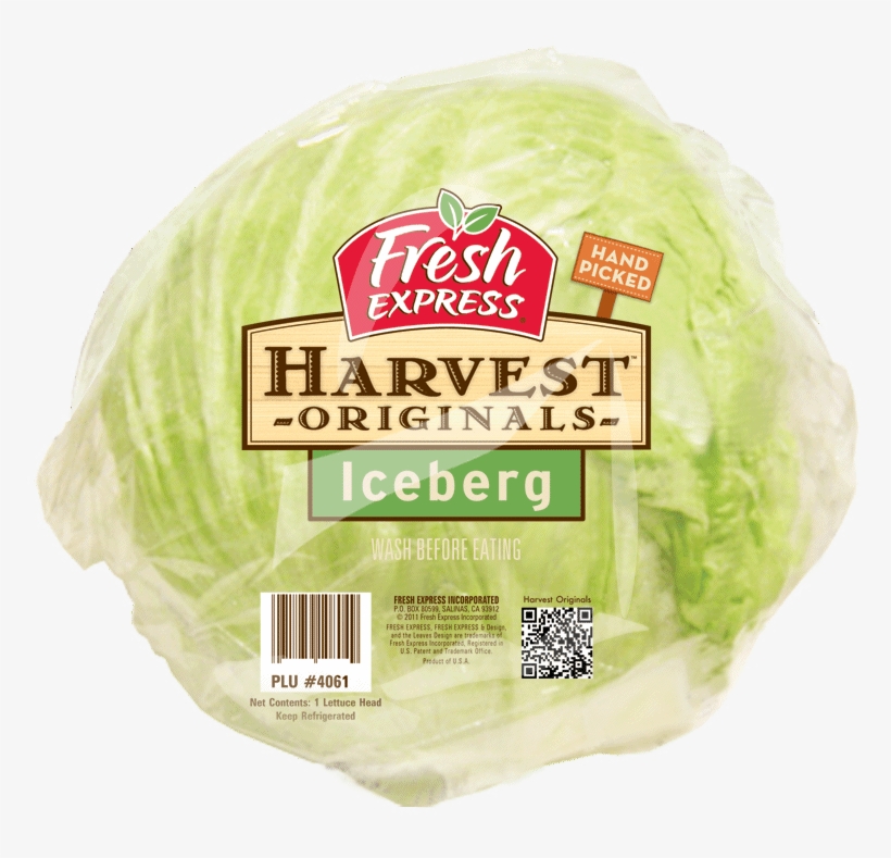 Iceberg Head Lettuce - Fresh Express Salad Kit, Apples & Cheddar, transparent png #4378830