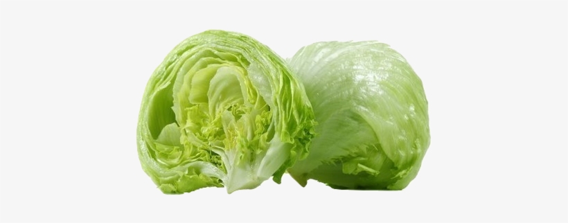 Lettuce, Iceberg - Iceberg Head Lettuce, transparent png #4378876