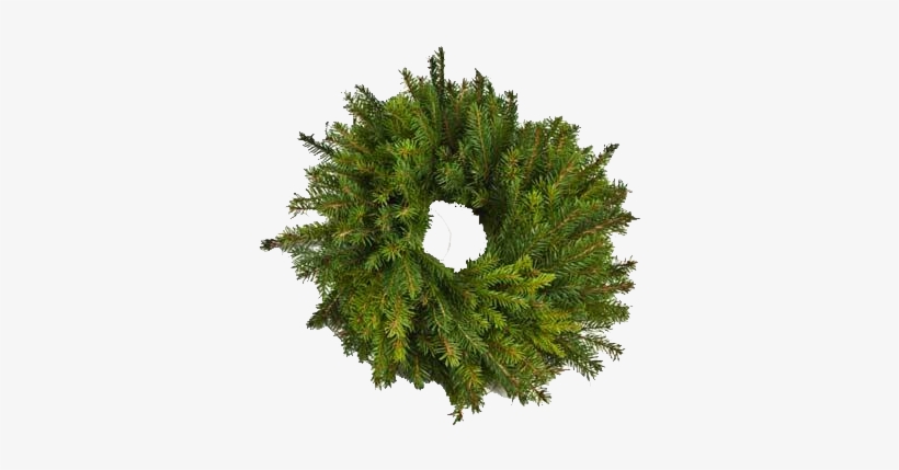 Christmas Wreath, Spruce - Archive, transparent png #4378877