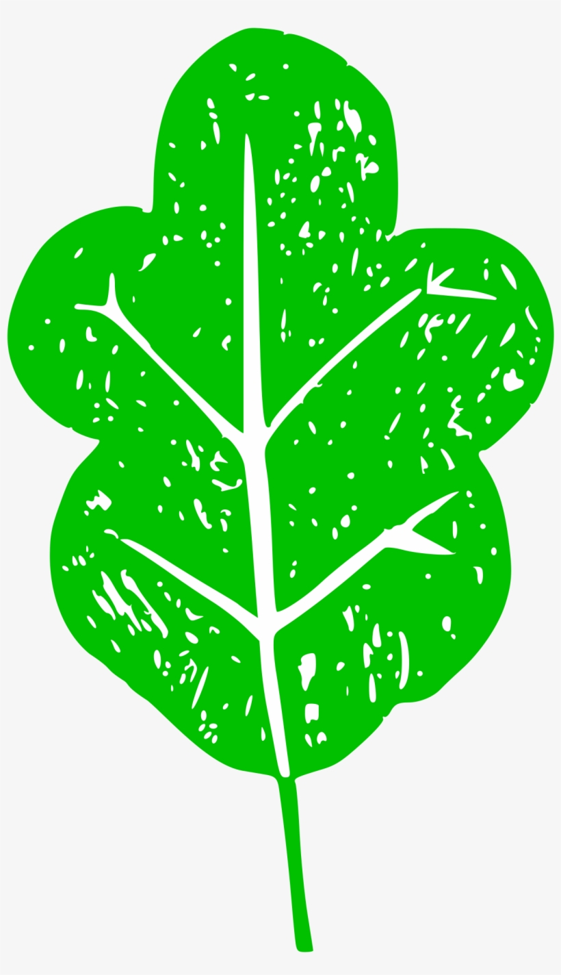 Big Image - Clip Art, transparent png #4379027