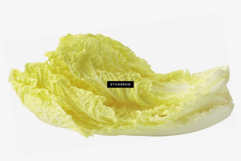 Salad Leaf - Chinese Cabbage, transparent png #4379072