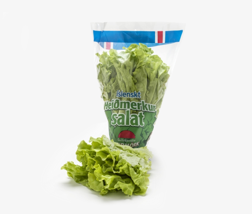 Heiðmerkur Lettuce - Lettuce, transparent png #4379195