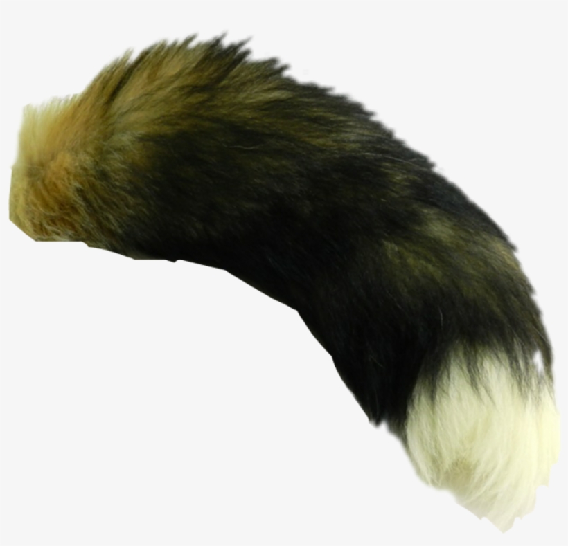 Fox Tails Free Transparent Png Download Pngkey