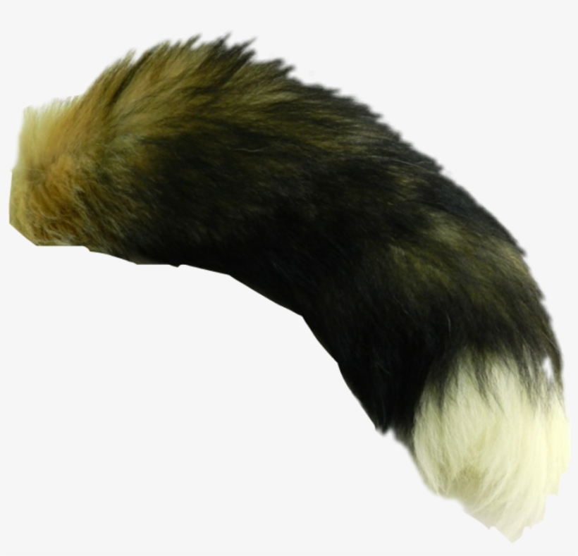 Fox Tails, transparent png #4379695