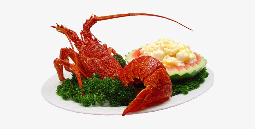 Lobster - Sea Food Png, transparent png #4380779