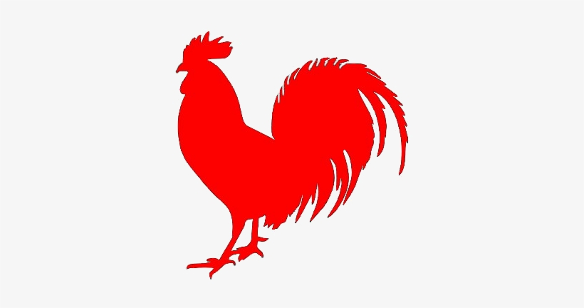 Rooster Redroosterfarm - Gallo Negro, transparent png #4381383
