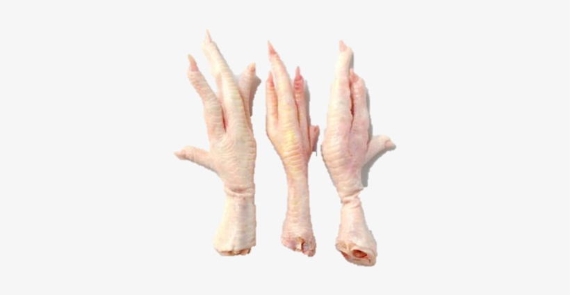 Chicken-feet - Transparent Chicken Feet, transparent png #4381536