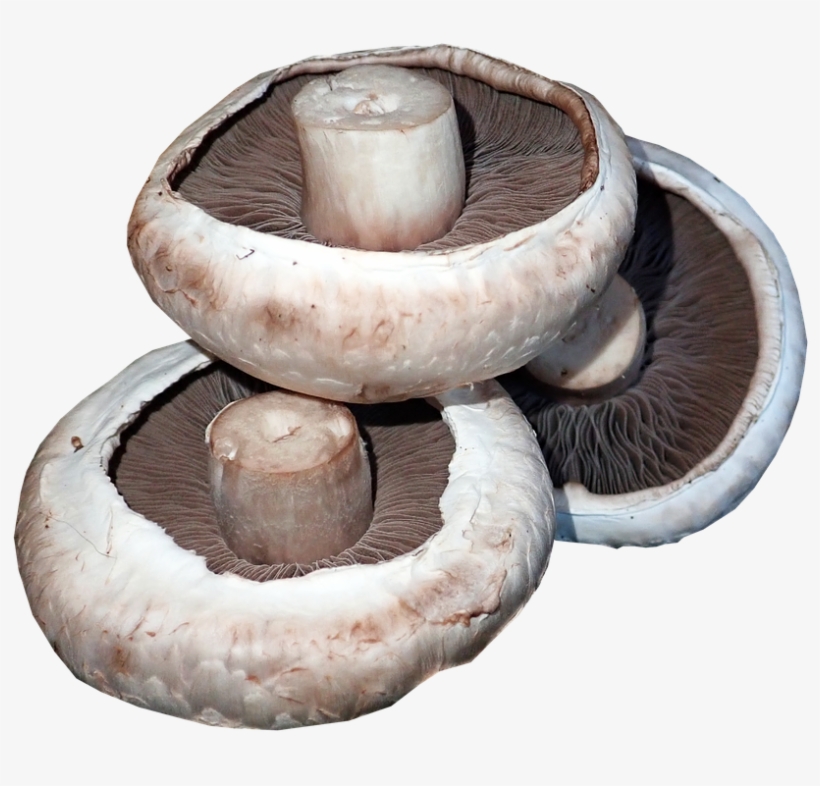 Mushrooms, Vegetables, Food, Cooking, Healthy, Organic - Cooking, transparent png #4382304