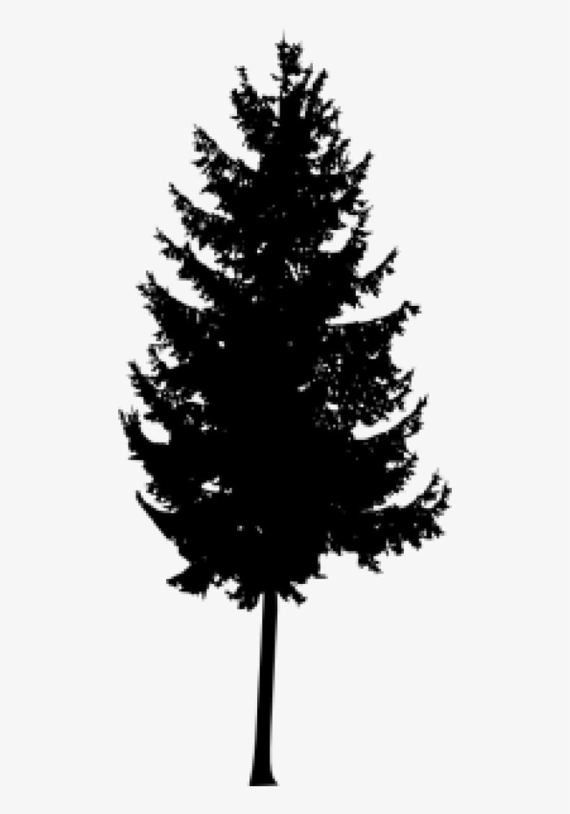 Free Png Pine Tree Silhouette Png Images Transparent - Portable Network Graphics, transparent png #4382944