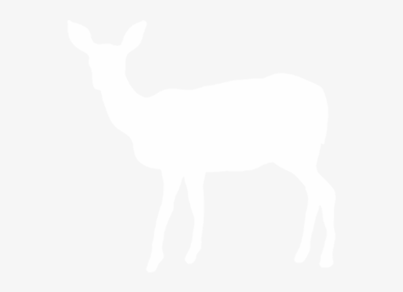 Deer - White Deer Silhouette Png, transparent png #4383928