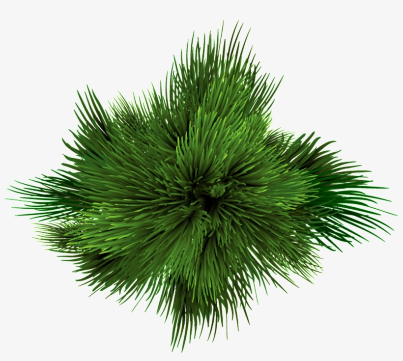Green Vortex Transparent Decorative - Portable Network Graphics, transparent png #4385012