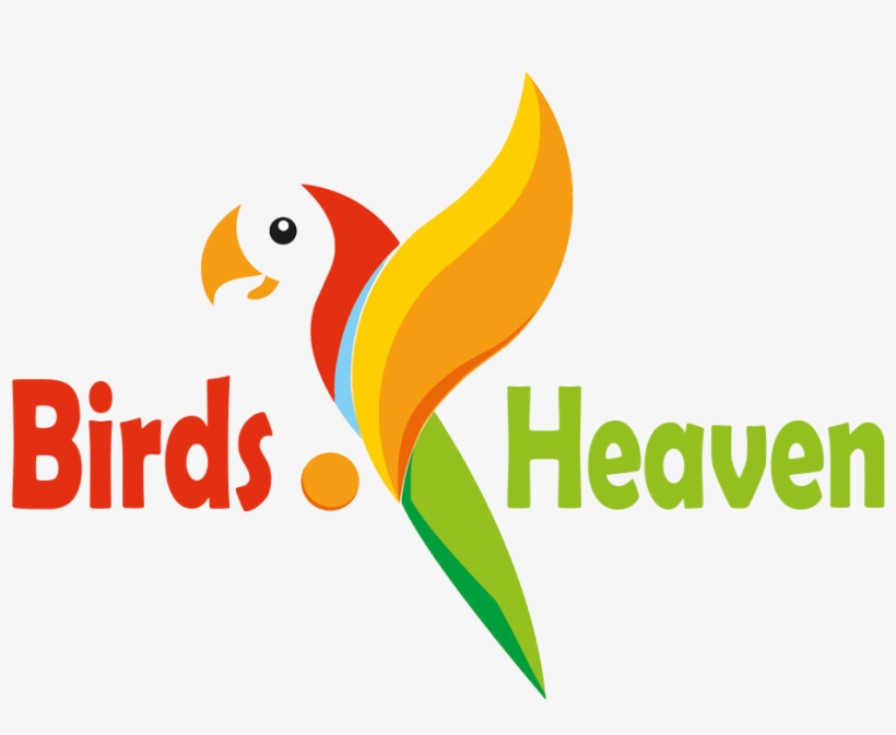 Birds Heaven Birds Heaven - Ara Colombia, transparent png #4385131