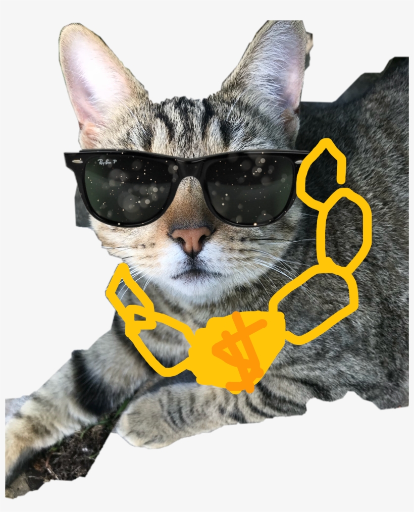 Cat, transparent png #4386722