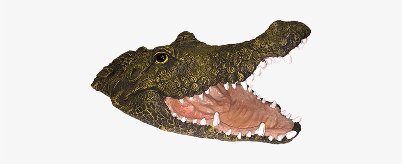 Alligator Natural Enemy® Scarecrow - American Crocodile, transparent png #4387749