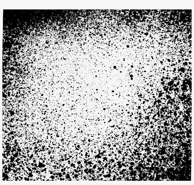 Free Grunge Polaroid Frame Png - Monochrome, transparent png #4387807