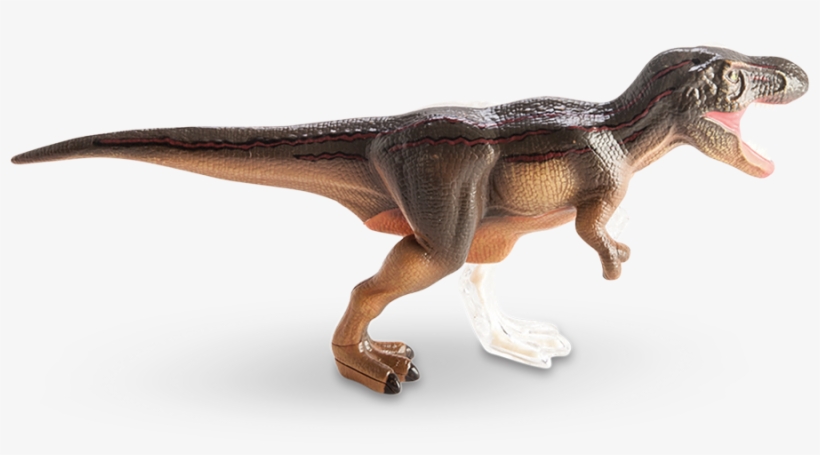 4d Vision T-rex Anatomy Model - T Rex Anatomy, transparent png #4387916