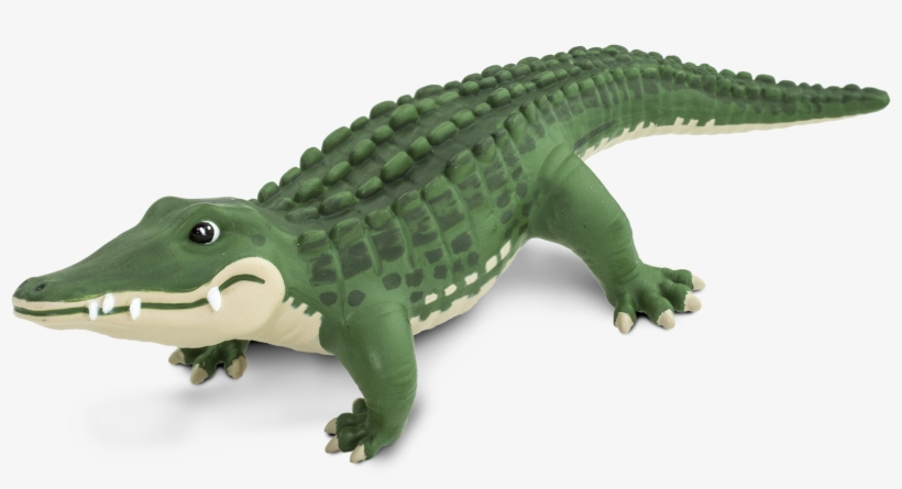 Bernie The Gator - Portable Network Graphics, transparent png #4388055