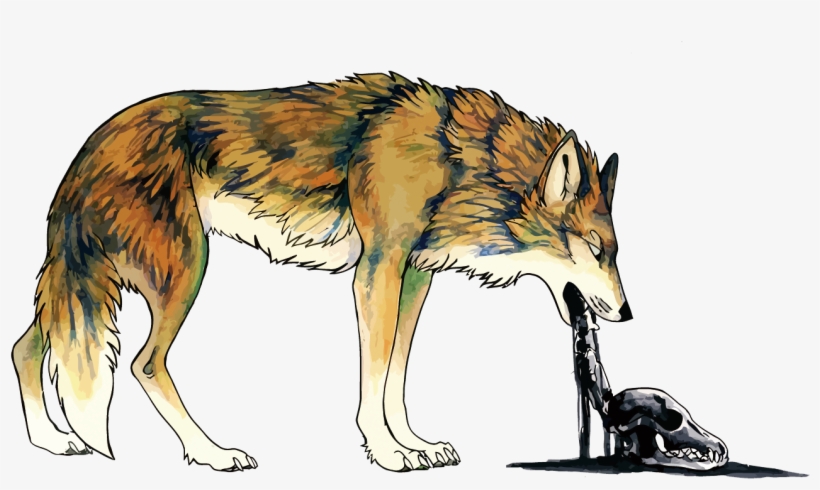 Coyote Dog Vomiting Illustration - Ilustracion Coyote Vector, transparent png #4388894