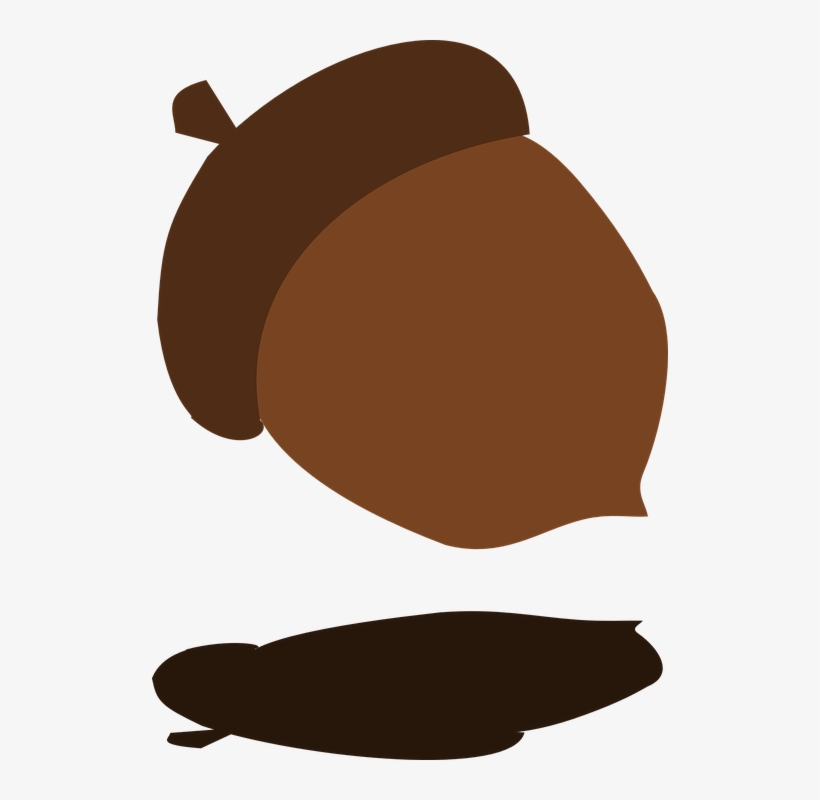 Fall Tree Acorn Shadow Falling Harvest Autumn - Bellota Png, transparent png #4390588