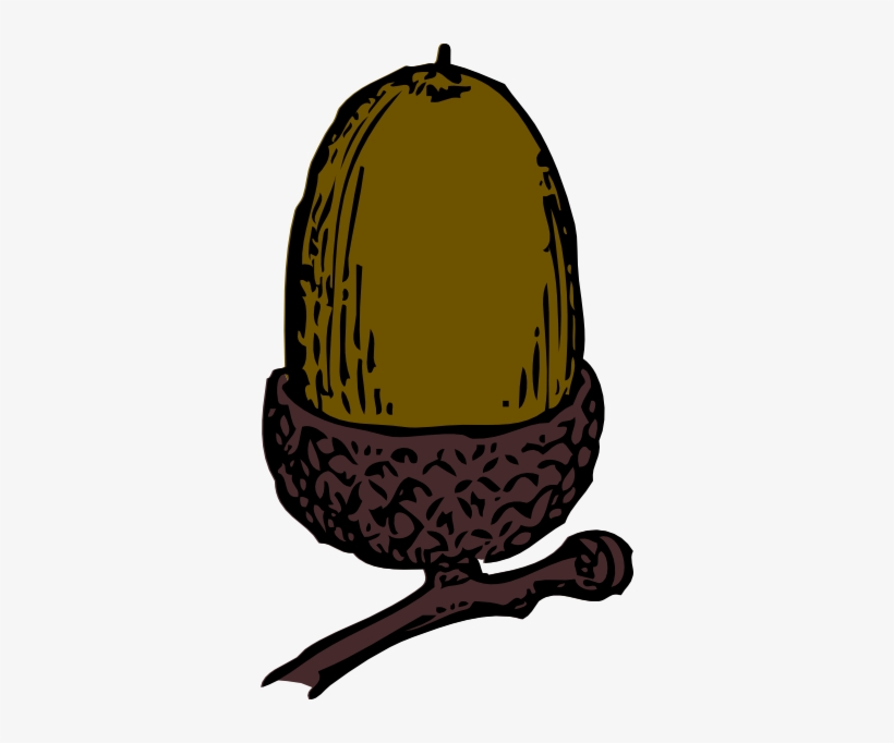 Acorn Clip Art, transparent png #4390672