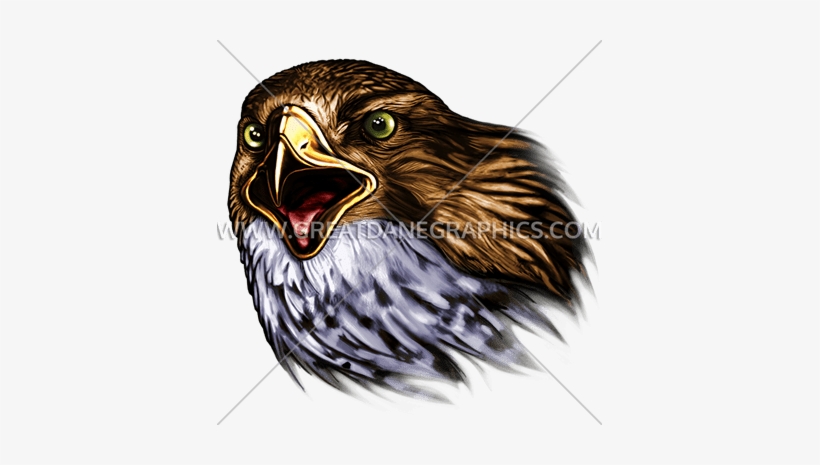 Falcon - Transparent Falcaon, transparent png #4391167