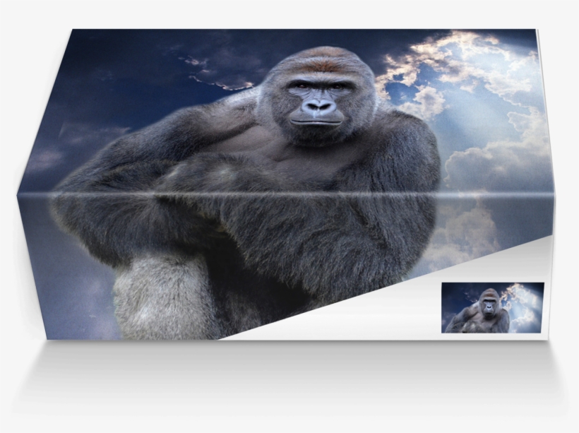 Harambe Transparent Png Jpg Royalty Free Library - Shoe, transparent png #4392931